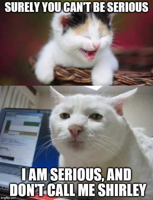 Looks like I picked a bad day to give up cat memes.  | SURELY YOU CAN'T BE SERIOUS; I AM SERIOUS, AND DON'T CALL ME SHIRLEY | image tagged in memes,cats,airplane | made w/ Imgflip meme maker