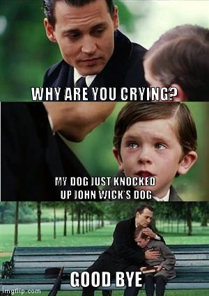 Finding Neverland | WHY ARE YOU CRYING? MY DOG JUST KNOCKED UP JOHN WICK'S DOG; GOOD BYE | image tagged in finding neverland | made w/ Imgflip meme maker