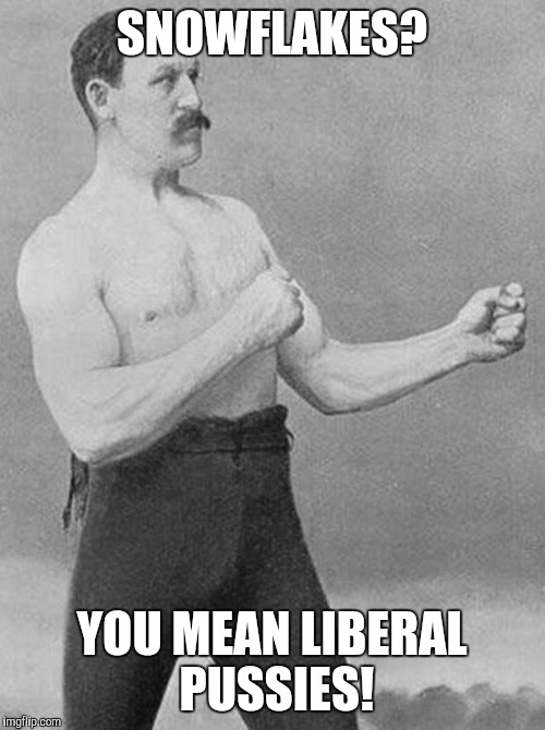 boxer | SNOWFLAKES? YOU MEAN LIBERAL PUSSIES! | image tagged in boxer | made w/ Imgflip meme maker