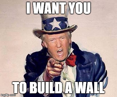 trump uncle sam | I WANT YOU; TO BUILD A WALL | image tagged in trump uncle sam | made w/ Imgflip meme maker