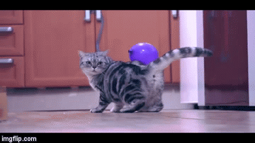 Purple Death Ball - Commando in Training - Imgflip