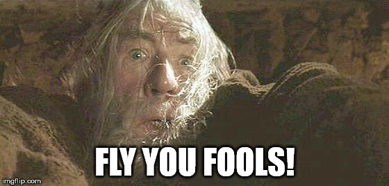 Gandalf Fly You Fools | FLY YOU FOOLS! | image tagged in gandalf fly you fools | made w/ Imgflip meme maker