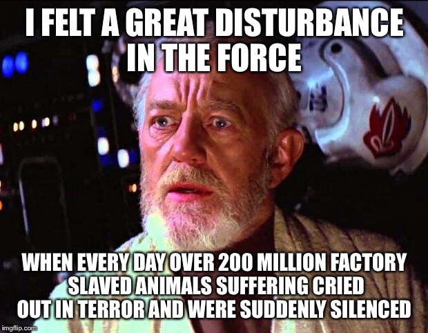 obi wan kenobi | I FELT A GREAT DISTURBANCE IN THE FORCE; WHEN EVERY DAY OVER 200 MILLION FACTORY SLAVED ANIMALS SUFFERING CRIED OUT IN TERROR AND WERE SUDDENLY SILENCED | image tagged in obi wan kenobi | made w/ Imgflip meme maker