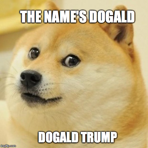 Doge | THE NAME'S DOGALD; DOGALD TRUMP | image tagged in memes,doge | made w/ Imgflip meme maker