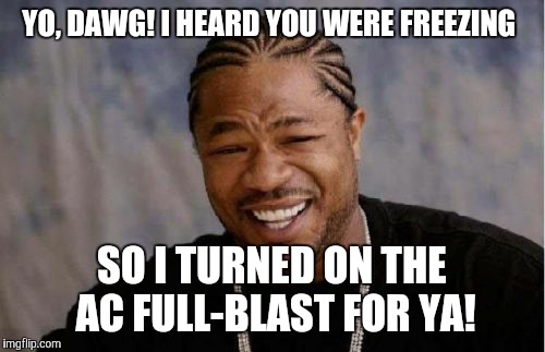 To Passengers: "Are y'all cold?" *turns on the AC instead of the heater* | YO, DAWG! I HEARD YOU WERE FREEZING; SO I TURNED ON THE AC FULL-BLAST FOR YA! | image tagged in memes,yo dawg heard you | made w/ Imgflip meme maker