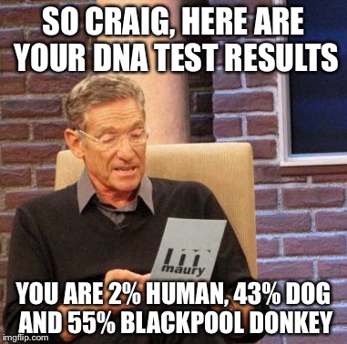 Maury Lie Detector Meme | SO CRAIG, HERE ARE YOUR DNA TEST RESULTS; YOU ARE 2% HUMAN, 43% DOG AND 55% BLACKPOOL DONKEY | image tagged in memes,maury lie detector | made w/ Imgflip meme maker