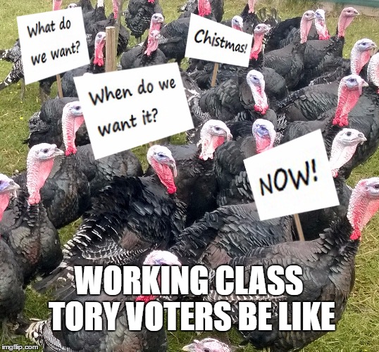 Working class Tory voters | WORKING CLASS TORY VOTERS BE LIKE | image tagged in working class | made w/ Imgflip meme maker