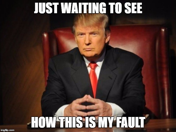donald trump |  JUST WAITING TO SEE; HOW THIS IS MY FAULT | image tagged in donald trump | made w/ Imgflip meme maker