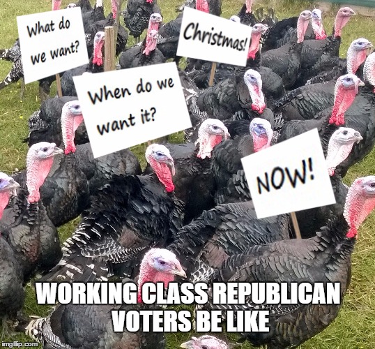 Working class republican voters | WORKING CLASS REPUBLICAN VOTERS BE LIKE | image tagged in working class,republicans,donald trump | made w/ Imgflip meme maker