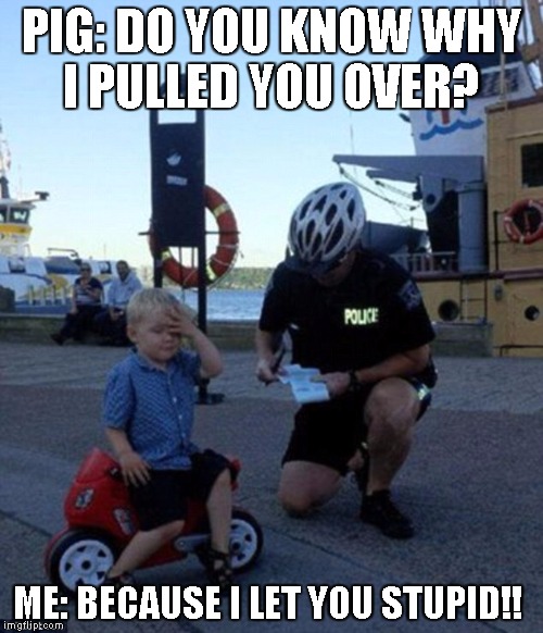  PIG: DO YOU KNOW WHY I PULLED YOU OVER? ME: BECAUSE I LET YOU STUPID!! | image tagged in motorcycle ticket | made w/ Imgflip meme maker