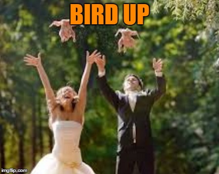 bird up - Imgflip