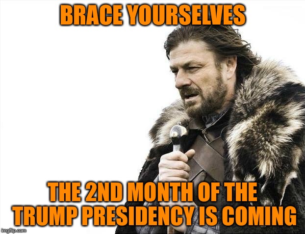 Brace Yourselves X is Coming | BRACE YOURSELVES; THE 2ND MONTH OF THE TRUMP PRESIDENCY IS COMING | image tagged in memes,brace yourselves x is coming | made w/ Imgflip meme maker