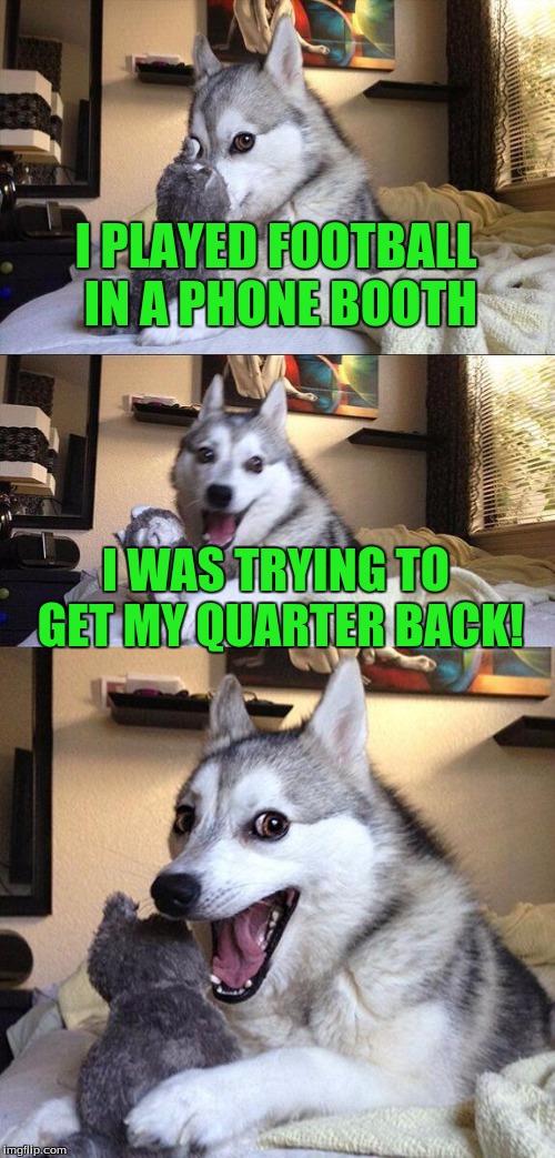 Bad Pun Dog Meme | I PLAYED FOOTBALL IN A PHONE BOOTH; I WAS TRYING TO GET MY QUARTER BACK! | image tagged in memes,bad pun dog | made w/ Imgflip meme maker
