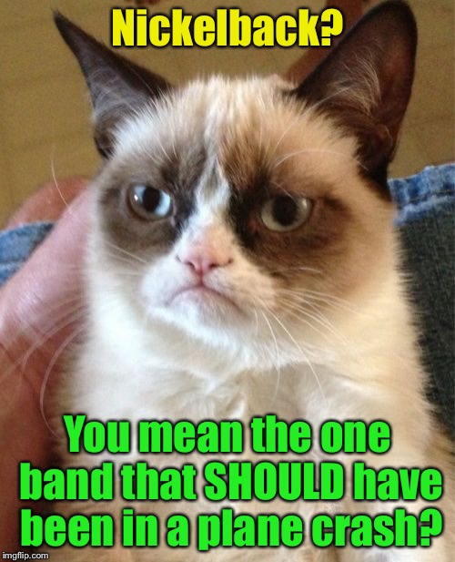 Grumpy Cat Meme | Nickelback? You mean the one band that SHOULD have been in a plane crash? | image tagged in memes,grumpy cat | made w/ Imgflip meme maker