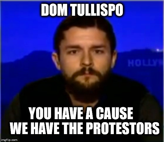 Fake News Has A New Hero | DOM TULLISPO; YOU HAVE A CAUSE  
WE HAVE THE PROTESTORS | image tagged in dom tullispo,fake news,joke,performance art | made w/ Imgflip meme maker