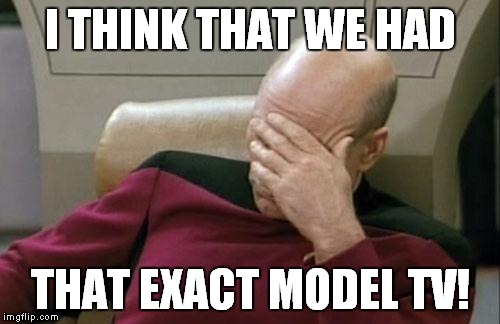 Captain Picard Facepalm Meme | I THINK THAT WE HAD THAT EXACT MODEL TV! | image tagged in memes,captain picard facepalm | made w/ Imgflip meme maker