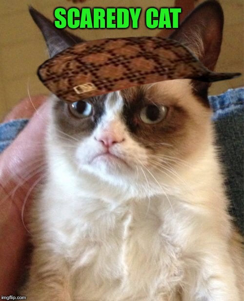 Grumpy Cat Meme | SCAREDY CAT | image tagged in memes,grumpy cat,scumbag | made w/ Imgflip meme maker