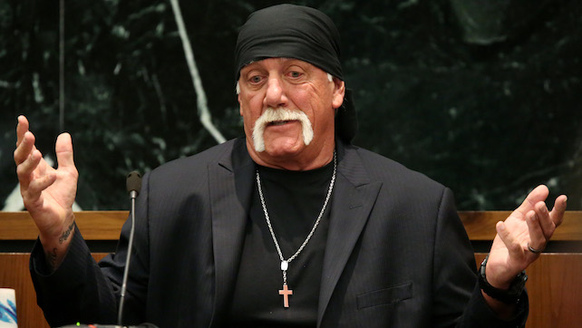 Confused hulk hogan Blank Meme Template