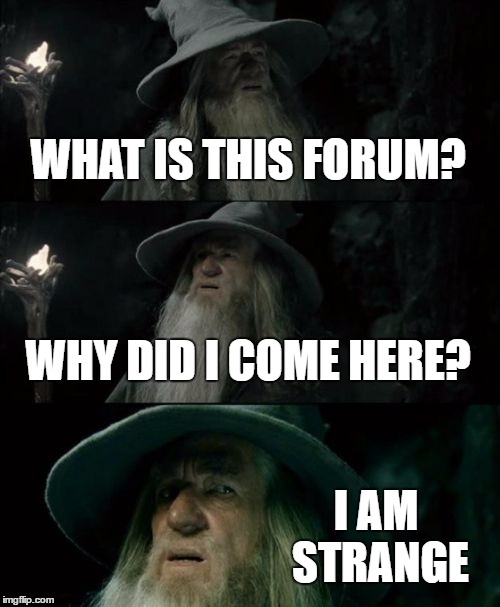 Confused Gandalf Meme | WHAT IS THIS FORUM? WHY DID I COME HERE? I AM STRANGE | image tagged in memes,confused gandalf | made w/ Imgflip meme maker
