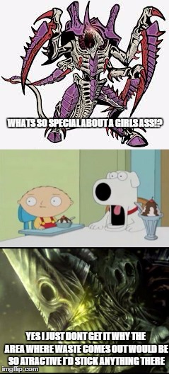 explain the reason! | WHATS SO SPECIAL ABOUT A GIRLS ASS!? YES I JUST DONT GET IT WHY THE AREA WHERE WASTE COMES OUT WOULD BE SO ATRACTIVE I'D STICK ANYTHING THERE | image tagged in warhammer40k,tyranid,family guy | made w/ Imgflip meme maker
