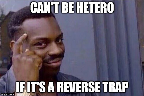 You cant - if you don't  | CAN'T BE HETERO; IF IT'S A REVERSE TRAP | image tagged in you cant - if you don't | made w/ Imgflip meme maker