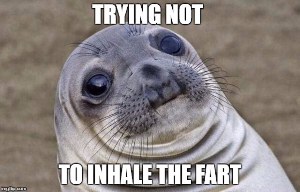 Awkward Moment Sealion | TRYING NOT; TO INHALE THE FART | image tagged in memes,awkward moment sealion | made w/ Imgflip meme maker