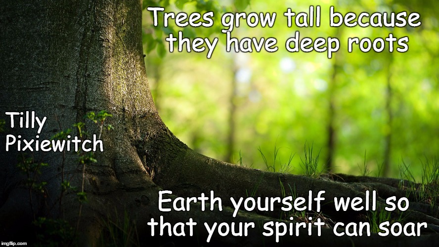 nature | Trees grow tall because they have deep roots; Tilly; Pixiewitch; Earth yourself well so that your spirit can soar | image tagged in nature | made w/ Imgflip meme maker