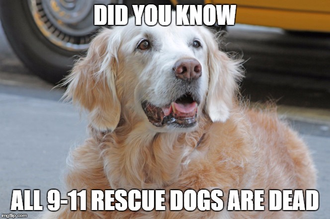 Every 911 Rescue Dog is Dead.  | DID YOU KNOW; ALL 9-11 RESCUE DOGS ARE DEAD | image tagged in every 911 rescue dog is dead | made w/ Imgflip meme maker