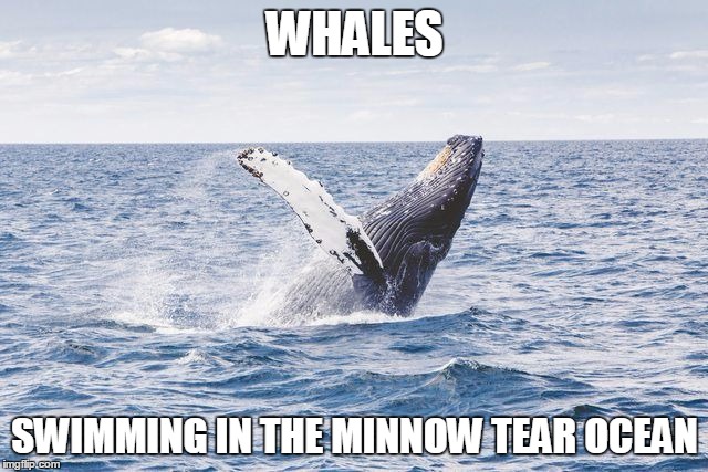WHALES; SWIMMING IN THE MINNOW TEAR OCEAN | made w/ Imgflip meme maker