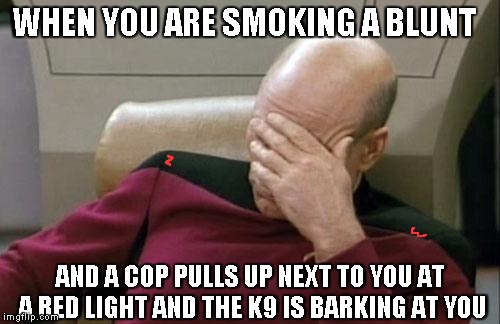 Captain Picard Facepalm | WHEN YOU ARE SMOKING A BLUNT; AND A COP PULLS UP NEXT TO YOU AT A RED LIGHT AND THE K9 IS BARKING AT YOU | image tagged in memes,captain picard facepalm | made w/ Imgflip meme maker