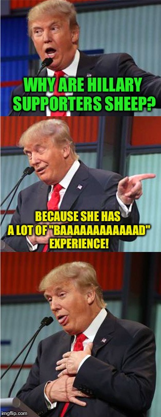 Open the Front Page doors, r_s;t | WHY ARE HILLARY SUPPORTERS SHEEP? BECAUSE SHE HAS A LOT OF "BAAAAAAAAAAAAD" EXPERIENCE! | image tagged in bad pun trump,memes | made w/ Imgflip meme maker