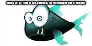 DMB Big Eyed Fish | UNDER THE WEIGHT OF LIFE, THINGS SEEM BRIGHTER ON THE OTHER SIDE | image tagged in dmb,dave matthews band,big eyed fish,under the weight of life things seem brighter on the other side | made w/ Imgflip meme maker