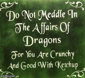 DO NOT MEDDLE IN THE AFFAIRS OF DRAGONS; FOR YOU ARE CRUNCHY AND GOOD WITH KETCHUP | image tagged in memes,dragon | made w/ Imgflip meme maker