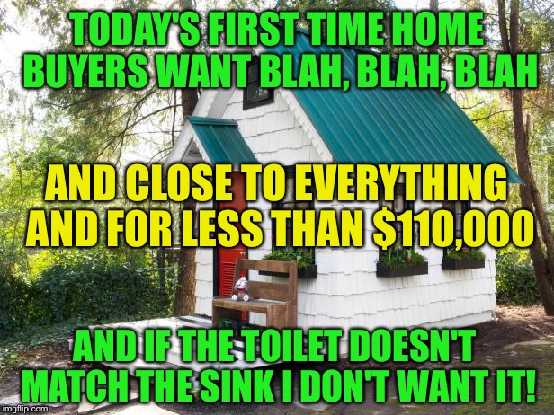 Maybe if they were a little more realistic  | TODAY'S FIRST TIME HOME BUYERS WANT BLAH, BLAH, BLAH; AND CLOSE TO EVERYTHING AND FOR LESS THAN $110,000; AND IF THE TOILET DOESN'T MATCH THE SINK I DON'T WANT IT! | image tagged in tiny house craze | made w/ Imgflip meme maker