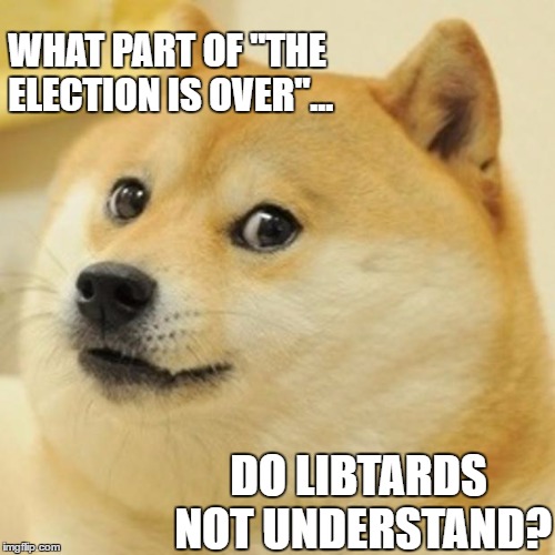 Doge Meme | WHAT PART OF "THE ELECTION IS OVER"... DO LIBTARDS NOT UNDERSTAND? | image tagged in memes,doge | made w/ Imgflip meme maker