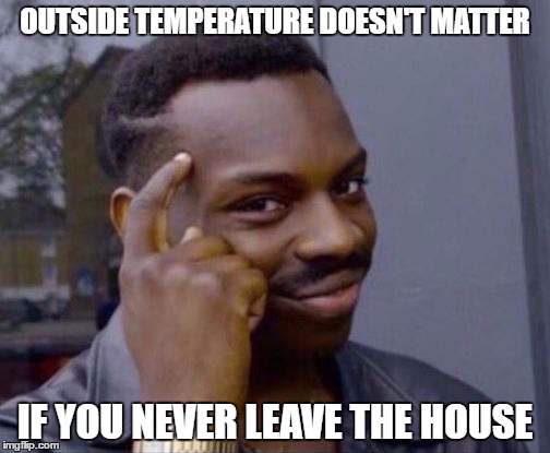 Roll Safe | OUTSIDE TEMPERATURE DOESN'T MATTER; IF YOU NEVER LEAVE THE HOUSE | image tagged in roll safe | made w/ Imgflip meme maker