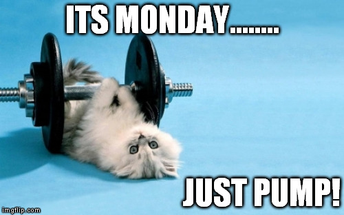 cat fitness | ITS MONDAY........ JUST PUMP! | image tagged in cat fitness | made w/ Imgflip meme maker