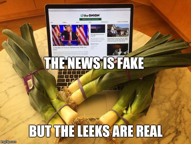 fake news | THE NEWS IS FAKE; BUT THE LEEKS ARE REAL | image tagged in fake news | made w/ Imgflip meme maker