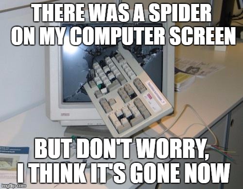 Eek! A spider! KILL IT WITH FIRE!!! | THERE WAS A SPIDER ON MY COMPUTER SCREEN; BUT DON'T WORRY, I THINK IT'S GONE NOW | image tagged in spider | made w/ Imgflip meme maker