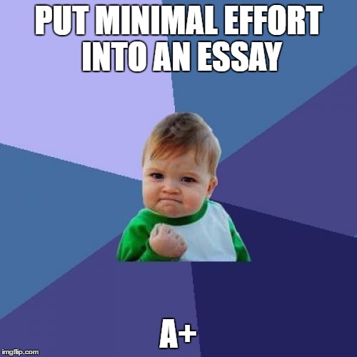 Success Kid | PUT MINIMAL EFFORT INTO AN ESSAY; A+ | image tagged in memes,success kid | made w/ Imgflip meme maker