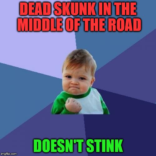 Some days are diamonds | DEAD SKUNK IN THE MIDDLE OF THE ROAD; DOESN'T STINK | image tagged in memes,success kid | made w/ Imgflip meme maker