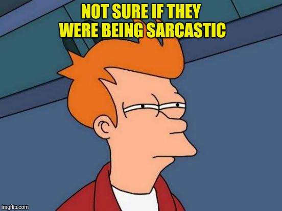 Futurama Fry Meme | NOT SURE IF THEY WERE BEING SARCASTIC | image tagged in memes,futurama fry | made w/ Imgflip meme maker