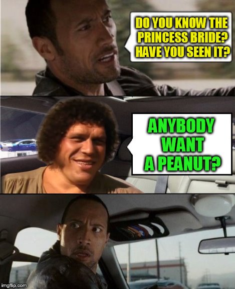 DO YOU KNOW THE PRINCESS BRIDE? HAVE YOU SEEN IT? ANYBODY WANT A PEANUT? | made w/ Imgflip meme maker
