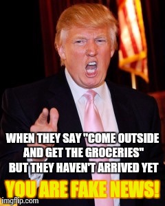 Donald Trump | WHEN THEY SAY "COME OUTSIDE AND GET THE GROCERIES" BUT THEY HAVEN'T ARRIVED YET; YOU ARE FAKE NEWS! | image tagged in donald trump | made w/ Imgflip meme maker