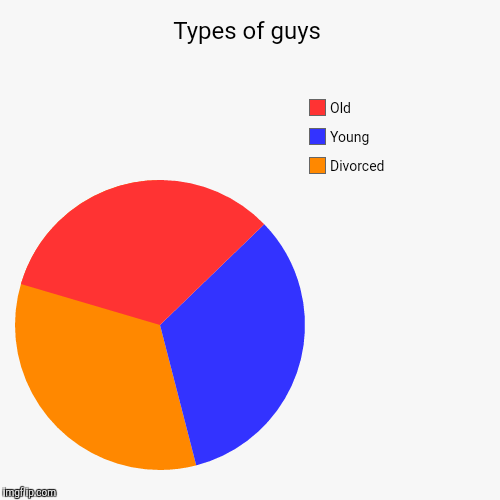 image tagged in funny,pie charts | made w/ Imgflip chart maker