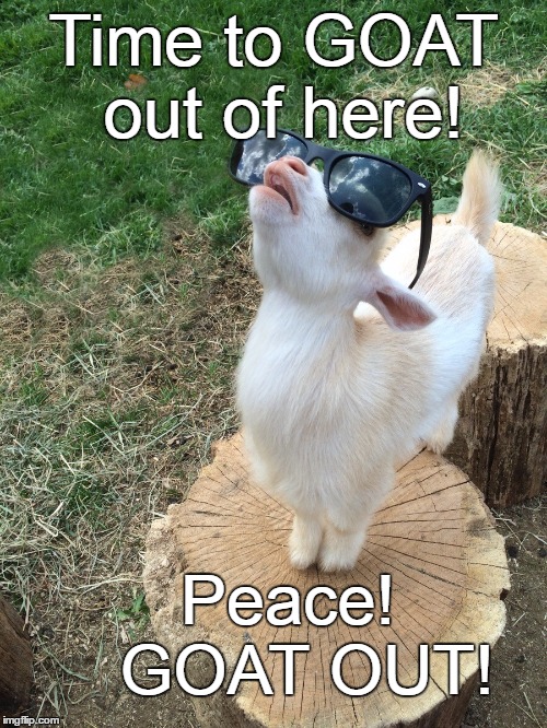 Goat cant see the haters | Time to GOAT out of here! Peace!  GOAT OUT! | image tagged in goat cant see the haters | made w/ Imgflip meme maker