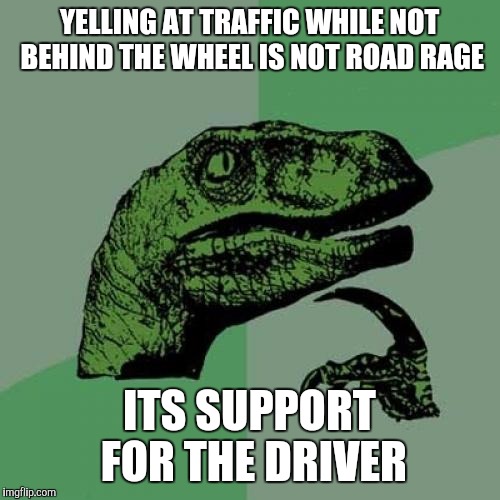 Philosoraptor | YELLING AT TRAFFIC WHILE NOT BEHIND THE WHEEL IS NOT ROAD RAGE; ITS SUPPORT FOR THE DRIVER | image tagged in memes,philosoraptor | made w/ Imgflip meme maker