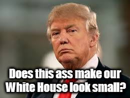 Does this ass make our White House look small? | image tagged in donald trump,asshole | made w/ Imgflip meme maker