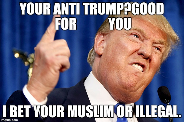 Donald Trump | YOUR ANTI TRUMP?GOOD FOR
           YOU; I BET YOUR MUSLIM OR ILLEGAL. | image tagged in donald trump | made w/ Imgflip meme maker