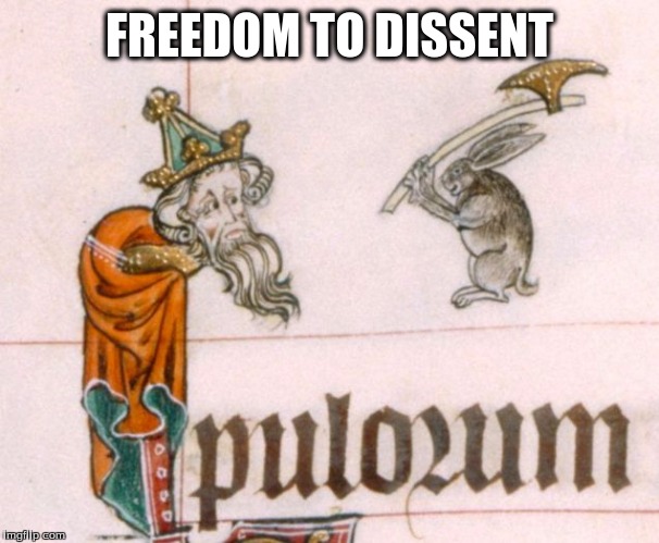 Beware of Axe-wielding Rabbits | FREEDOM TO DISSENT | image tagged in political meme,rabbit,medieval memes | made w/ Imgflip meme maker